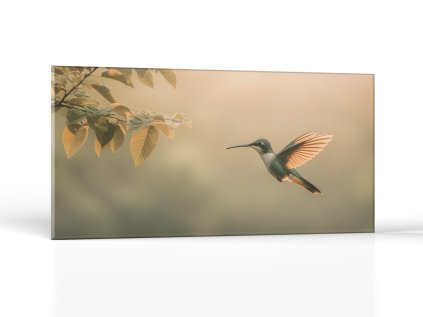 Let kolibríka | Obrazy Vintessia