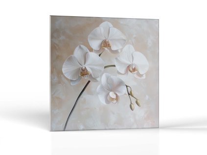 Jemnosť orchideí | Obrazy Vintessia