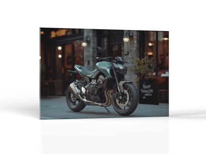 Mestský dravec | Obrazy Vintessia