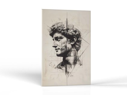David v geometrii | Obrazy Vintessia