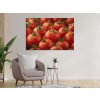 Rosa na paradajkách-obraz na dreve int vintessia