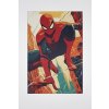 Spiderman v akcii | Výpredaj obrazov