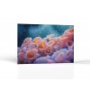 Podmorské krásy | Obrazy Vintessia
