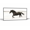 Čierny kôň v pohybe | Obraz Vintessia v ráme