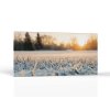 Zimné ranné lúče | Obrazy Vintessia