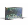 monet nympheas avec reflets r0053 obrazy vintessia