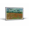 vangogh poppy field r0068 obrazy vintessia