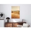 Zlaté slnečné polia-obraz na dreve int vintessia