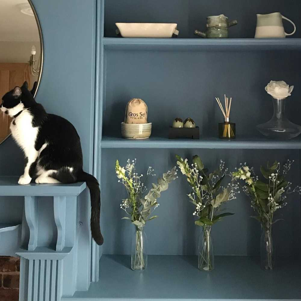 chalk-paint-blue-chiswick-house-vintro-1-2
