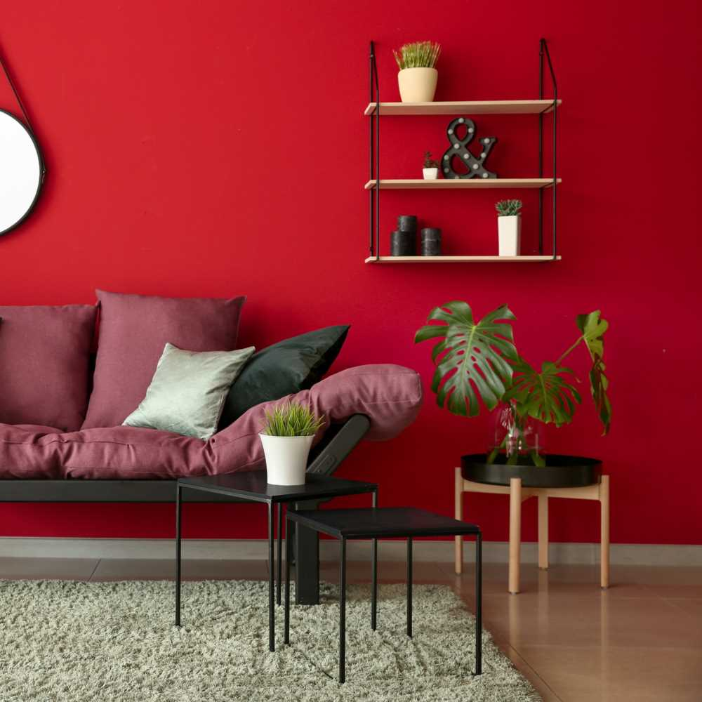 matt-emulsion-paint-red-wall-valentine-vintro-1