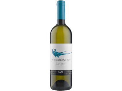 Sauvignon Alteni di Brassica Langhe DOP