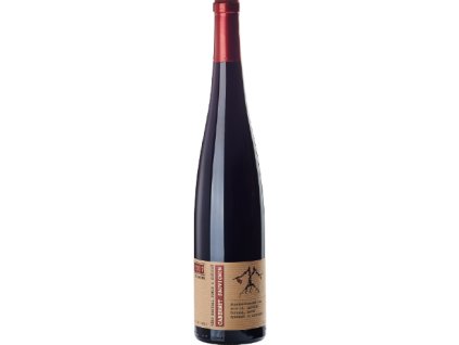 Cabernet Sauvignon BIO D.S.C.