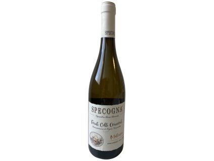 Malvasia BIO DOC