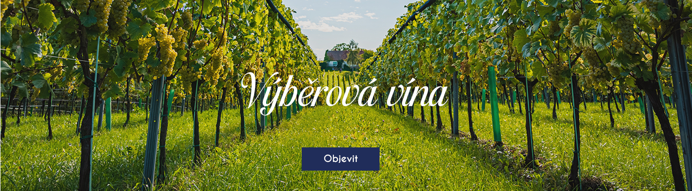 Výběrová vína