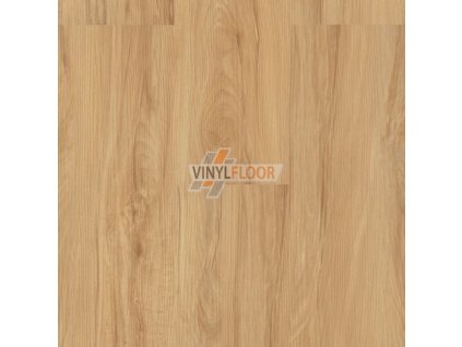 Plovoucí vinylová podlaha Ecoline Click 9560 Buk vita Vinylfloor cz