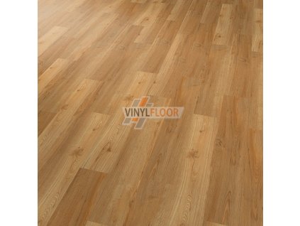Conceptline 30101 Dub klasik Vinylfloor cz