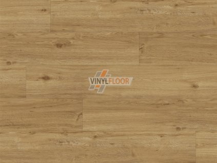 Experto LVT 55 Dub Ravello 6110 71 Vinylfloor cz