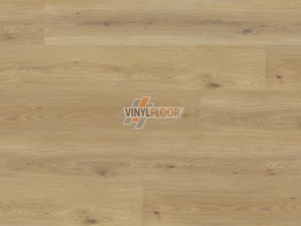 EXPERTO LVT 55 Dub Calle 8196L 001 Vinylfloor cz