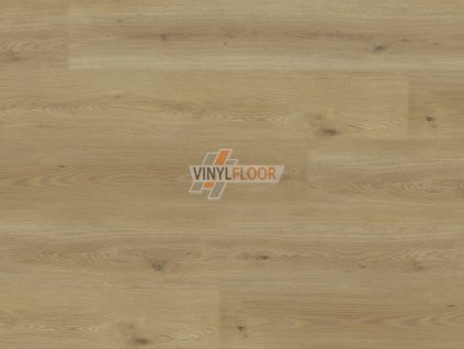 EXPERTO LVT 55 Dub Citi 8196L 005 Vinylfloor cz
