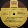 2LP Stevie Wonder - Journey Through The Secret Life Of Plants, 1979
