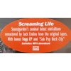 2EP  Soundgarden ‎– Screaming Life / Fopp, 2013