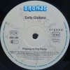 LP  Sally Oldfield - Playing In The Flame, 1981