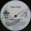 Tribal House ‎– Motherland -A-FRI-CA- 1990