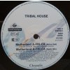 Tribal House ‎– Motherland -A-FRI-CA- 1990