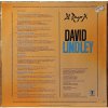 LP David Lindley - El Rayo-X, 1981