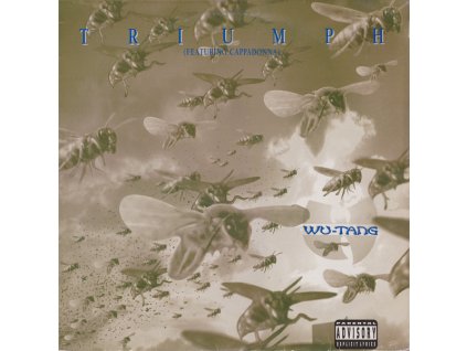 Wu Tang Clan Featuring Cappadonna – Triumph