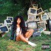 SZA Ctrl 2x LP, Album, Green Translucent (1)