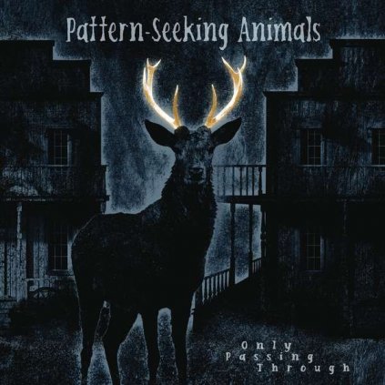 VINYLO.SK | Pattern-Seeking Animals ♫ Only Passing Through / Etched / HQ [2LP + CD] vinyl 0194399822111