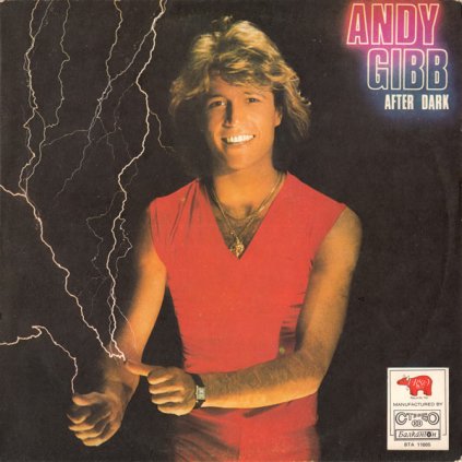 VINYLO.SK | Andy Gibb ♫ After Dark (stav: NM/VG+) [LP] B0003217 =Vinylo bazár=