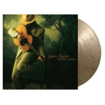 VINYLO.SK | Taylor James ♫ October Road / Limited Numbered Edition of 1000 copies / Black - Gold Marbled Vinyl [LP] vinyl 8719262030329