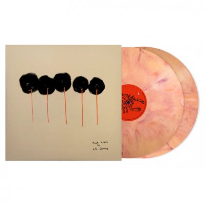 VINYLO.SK | L.S. Dunes ♫ Past Lives / Deluxe Limited Edition / Coloured Vinyl [2LP] vinyl 0888072572393