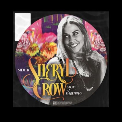 VINYLO.SK | Crow Sheryl ♫ Story Of Everything / Picture Disc [LP] vinyl 0843930098804