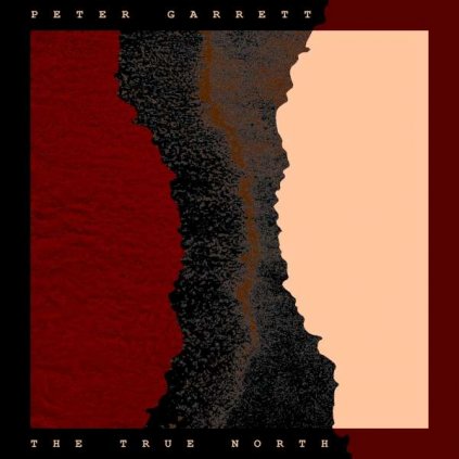 VINYLO.SK | Garrett Peter ♫ The True North [LP] vinyl 0196588445019