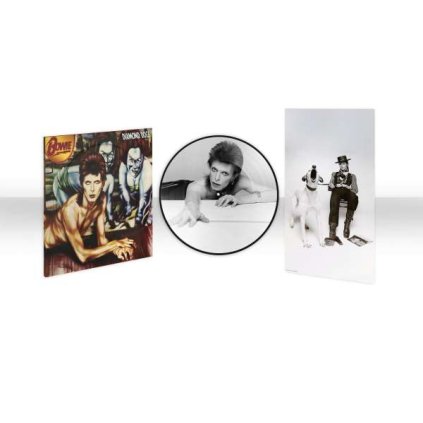VINYLO.SK | Bowie David ♫ Diamond Dogs / Picture Disc [LP] vinyl 5054197816413