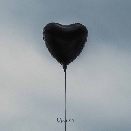 VINYLO.SK | AMITY AFFLICTION, THE ♫ MISERY [CD] 0016861743321