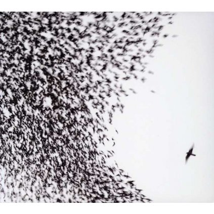 VINYLO.SK | WILCO ♫ SKY BLUE SKY [CD] 0075597998795