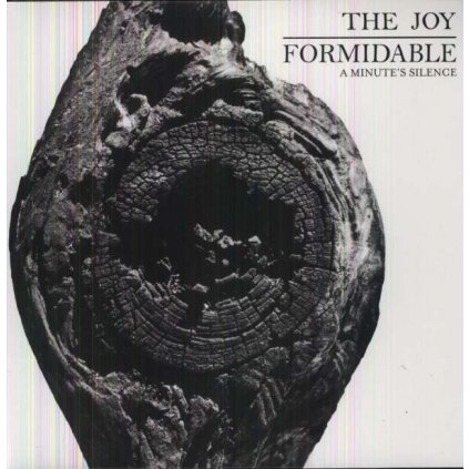 VINYLO.SK | JOY FORMIDABLE, THE ♫ A MINUTE'S SILENCE [EP12inch] 0075679954848