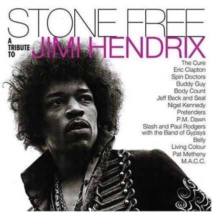 Rôzni interpreti ♫ Stone Free: Jimi Hendrix Tribute =RSD= [2LP] vinyl