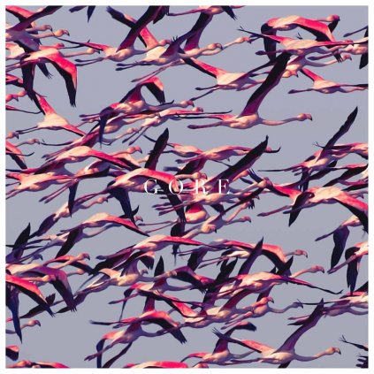 VINYLO.SK | DEFTONES ♫ GORE [CD] 0093624926481