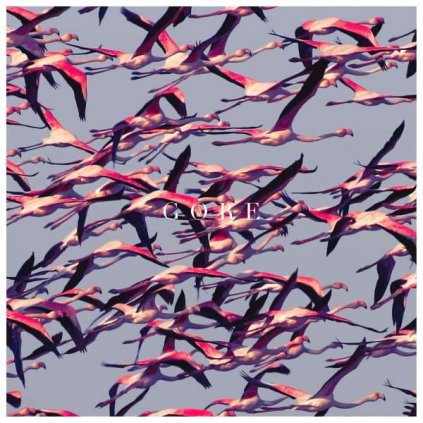 VINYLO.SK | DEFTONES ♫ GORE [2LP] 0093624926498