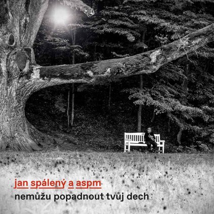 VINYLO.SK | SPÁLENÝ, JAN & ASPM ♫ NEMŮŽU POPADNOUT TVŮJ DECH [CD] 0190295494612