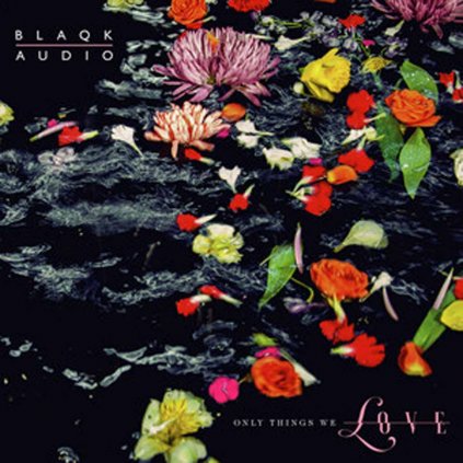 VINYLO.SK | BLAQK AUDIO ♫ ONLY THINGS WE LOVE / PICTURE DISC [LP] 4050538471847