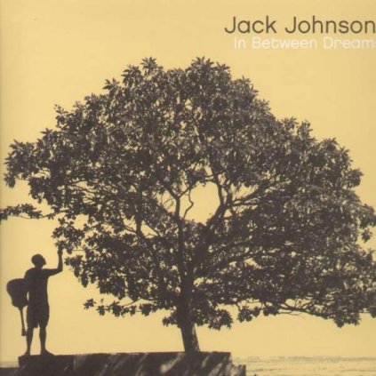 VINYLO.SK | JOHNSON JACK ♫ IN BETWEEN DREAMS [LP] 0602498800348