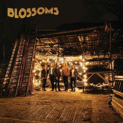 VINYLO.SK | BLOSSOMS ♫ BLOSSOMS [CD] 0602547977298