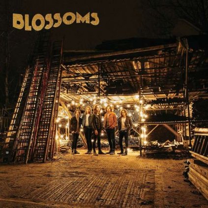 VINYLO.SK | BLOSSOMS ♫ BLOSSOMS [2LP] 0602557274561