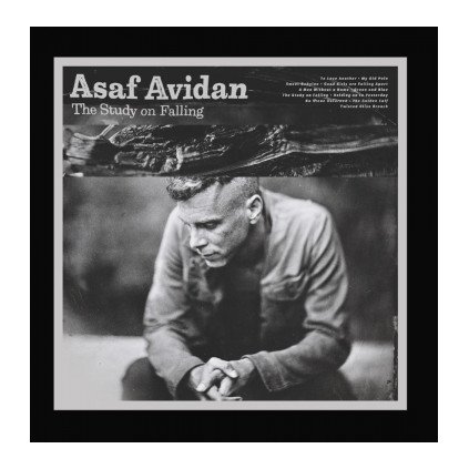 VINYLO.SK | ASAF AVIDAN ♫ THE STUDY ON FALLING [CD] 0602557830552